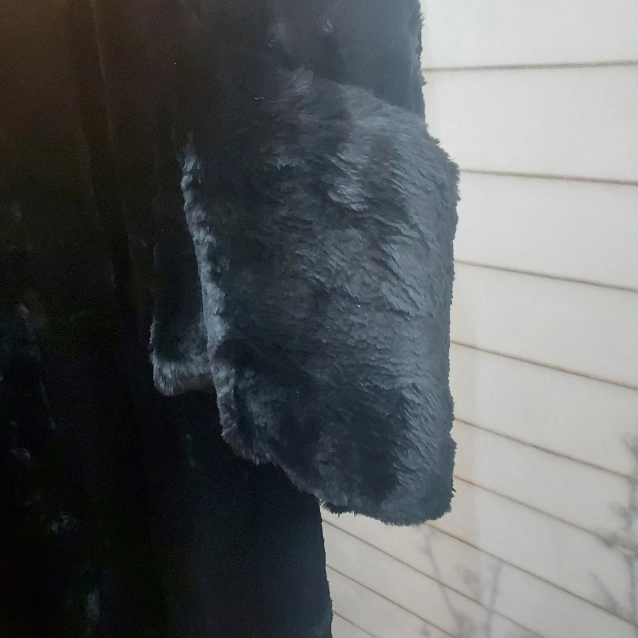 Vintage Black Fur Coat - Image 4