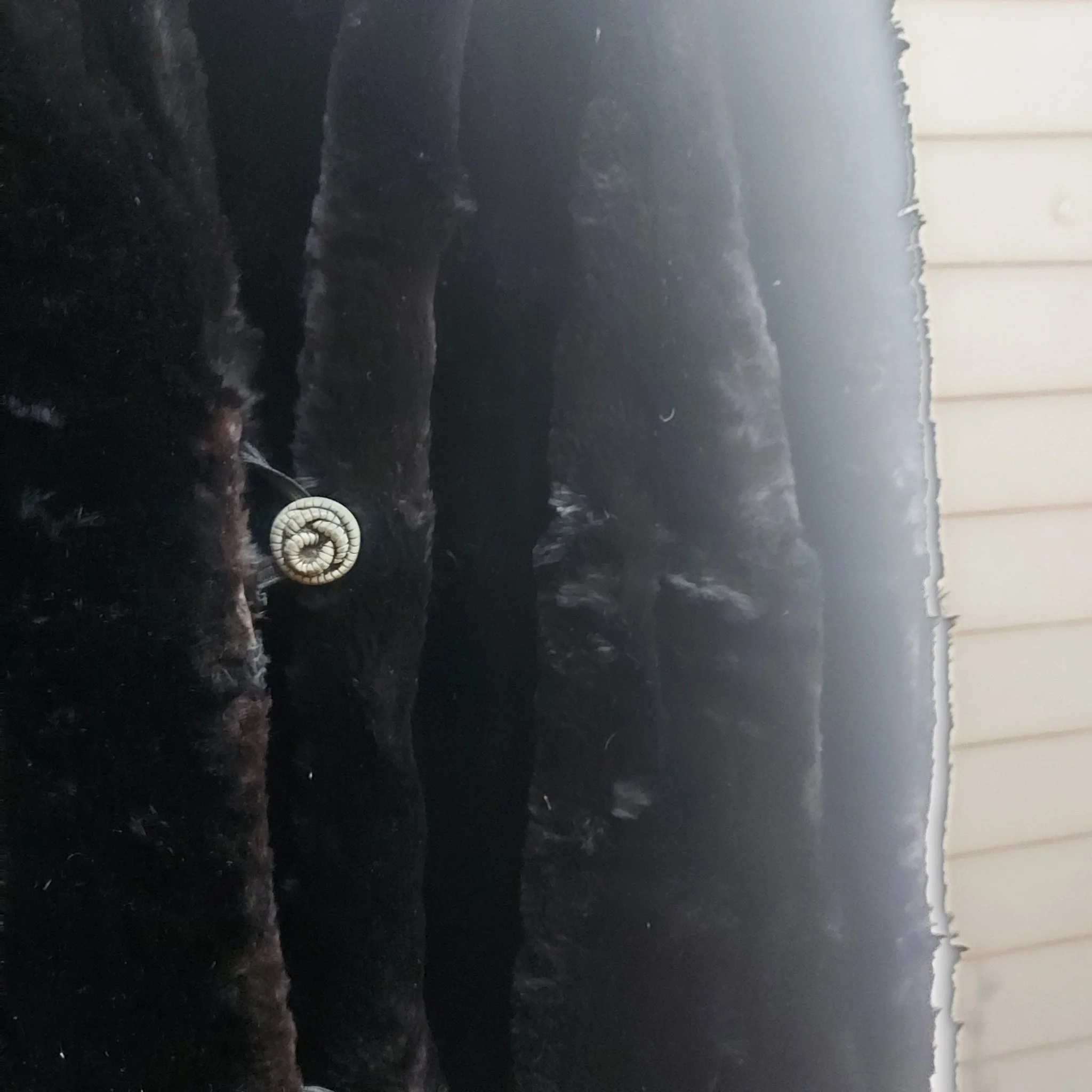 Black Fur & Mohair Coat - Image 4