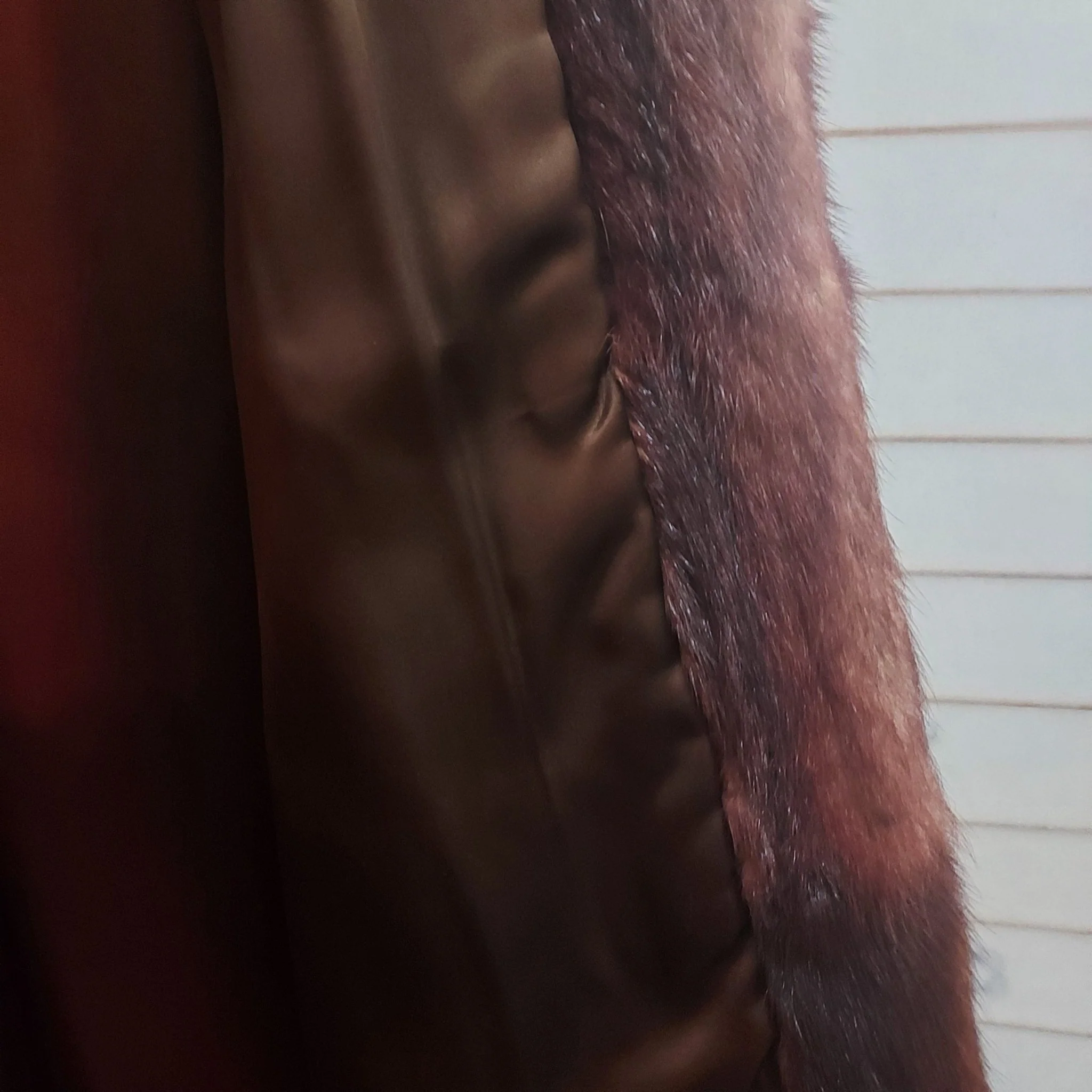 Vintage Mink Fur Coat - Image 9