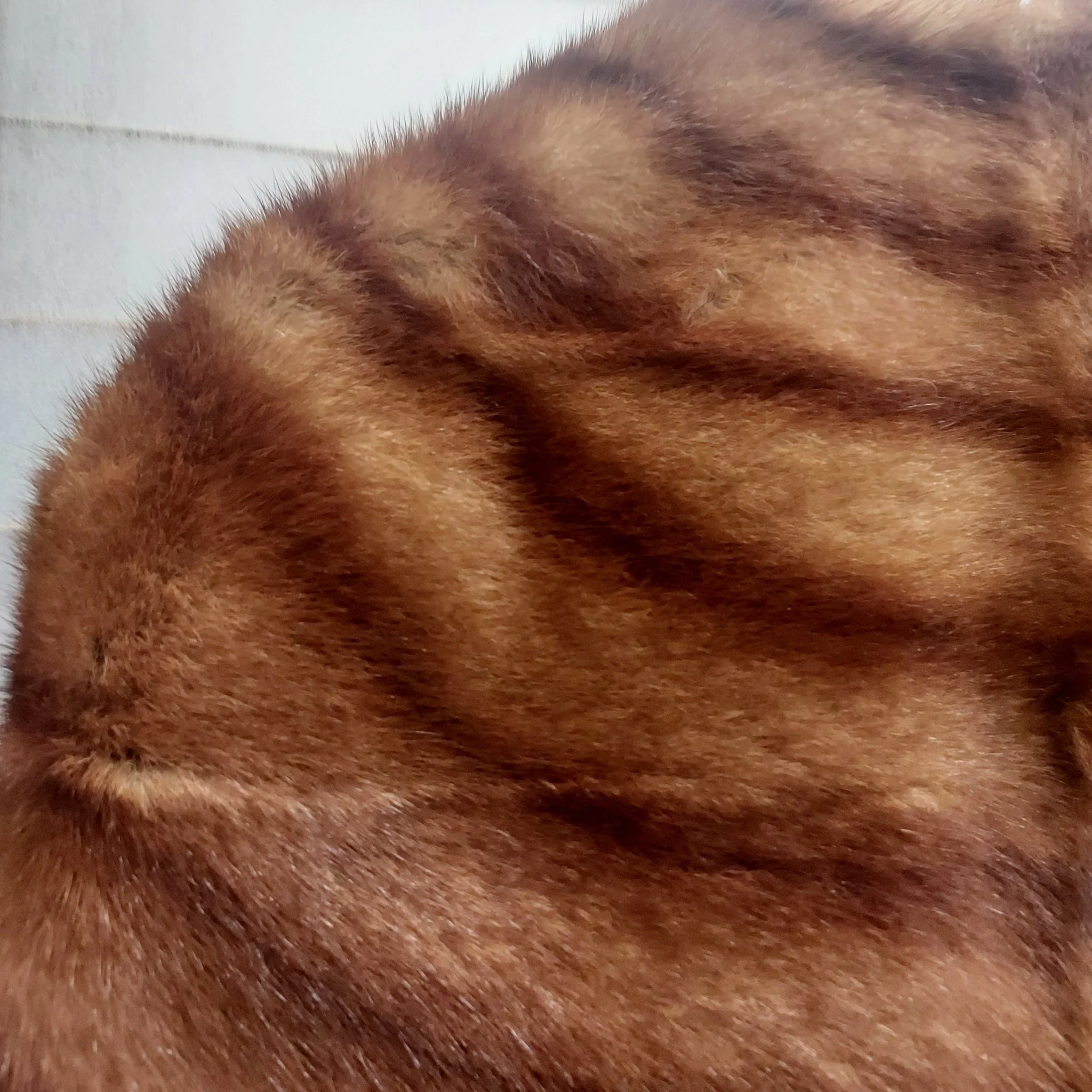 Vintage Mink Fur Stole - Image 10